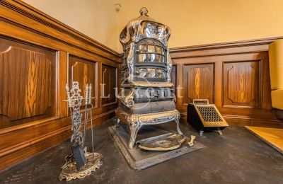 Castle for sale Mirošov, Zámek Mirošov, Plzeňský kraj, Image 18/30