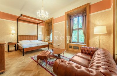 Castle for sale Mirošov, Zámek Mirošov, Plzeňský kraj, Image 15/30