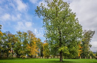 Castle for sale Mirošov, Zámek Mirošov, Plzeňský kraj, Image 24/30