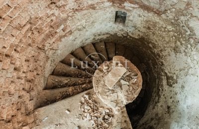 Castle for sale Mirošov, Zámek Mirošov, Plzeňský kraj, Image 22/30