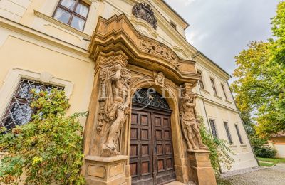 Castle for sale Mirošov, Zámek Mirošov, Plzeňský kraj:  