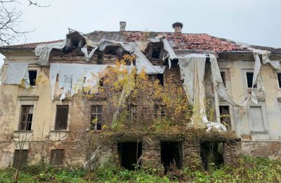 Manor House for sale Saulaine, Kaucmindes muiža, Zemgale:  