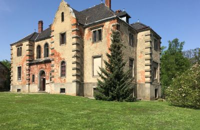 Character properties, Manor with grounds and Park near Wrocław 
