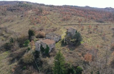 Country home for sale 06019 Umbertide, Umbria, Image 12/20
