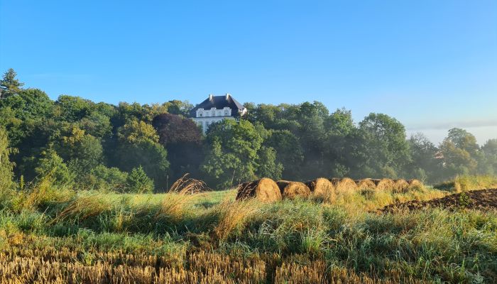 Castle for sale Piszkowice, Lower Silesian Voivodeship,  Poland