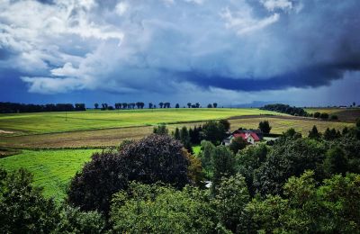 Castle for sale Piszkowice, Lower Silesia, Image 7/22