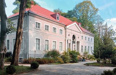 Castle for sale Sławnikowice, Slawnikowice 99, Lower Silesia, Side view