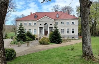 Castle for sale Sławnikowice, Slawnikowice 99, Lower Silesia, Front view