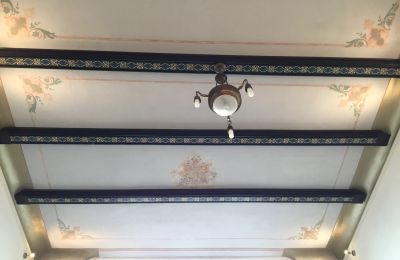 Historic Villa for sale Strzelin, Kazanów 21, Lower Silesia, Image 9/35