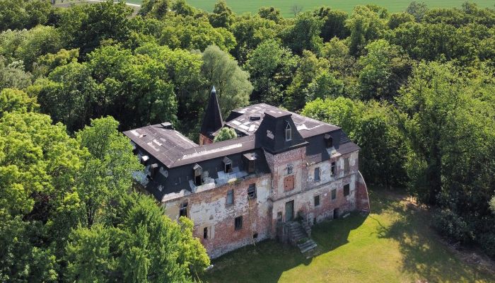 Castle for sale Komorowice, Lower Silesian Voivodeship,  Poland