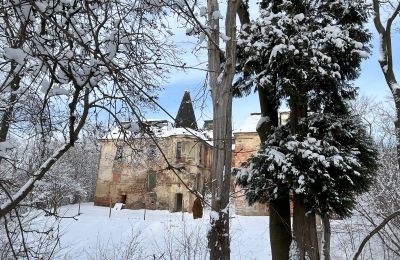 Castle for sale Komorowice, Wrocławska 27, Lower Silesia, Image 33/36