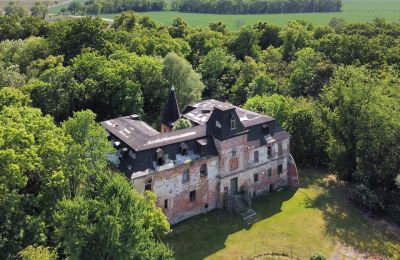 Character properties, PALACE AND PARK COMPLEX from the 14th century WROCŁAW-KOMOROWICE (Monument) – historic property