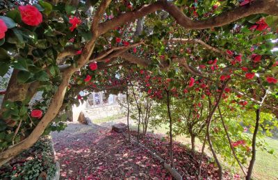 Monastery for sale Casale Litta, Lombardy, Image 34/46