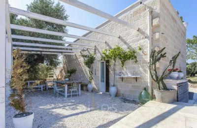 Character properties, Farmhouse in Ostuni with sea view and olive grove