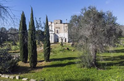 Farmhouse for sale Oria, Apulia:  