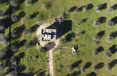 Country home for sale Oria, Apulia, Image 26/26