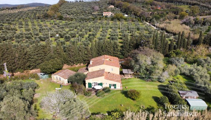 Country House Castagneto Carducci 5