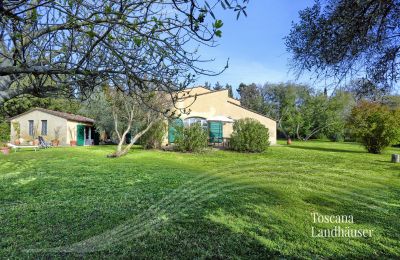 Country House for sale Castagneto Carducci, Tuscany:  RIF 3057 Haus und Terrasse