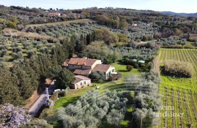 Country House for sale Castagneto Carducci, Tuscany:  RIF 3057 Ansicht