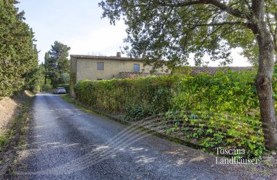 Country House for sale Castagneto Carducci, Tuscany:  RIF 3057 Zufahrt