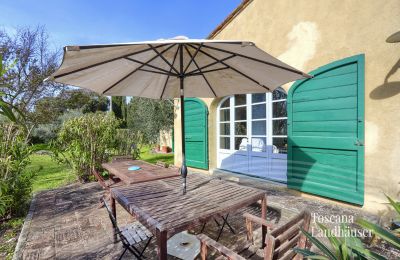 Country House for sale Castagneto Carducci, Tuscany:  RIF 3057 Terrasse
