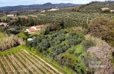 Country House for sale Castagneto Carducci, Tuscany:  RIf 3057 Anwesen und Olivenbäume