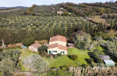 Country House for sale Castagneto Carducci, Tuscany:  RIF 3057 Haus und Oliven