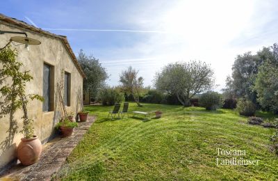 Country House for sale Castagneto Carducci, Tuscany:  RIF 3057 Garten