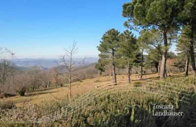 Country House for sale Gaiole in Chianti, Tuscany:  RIF 3041 Ausblick