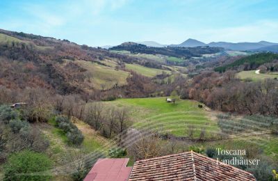 Farmhouse for sale Marciano della Chiana, Tuscany:  RIF 3055 Ausblick