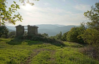 Character properties, Farmhouse near Preggio, Umbria, 15 ha land