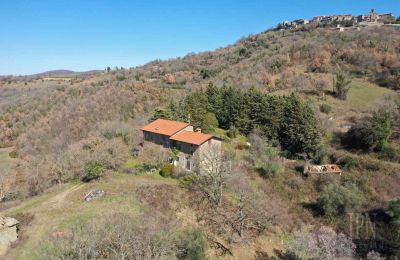 Country home for sale 06019 Preggio, Umbria, Image 6/30