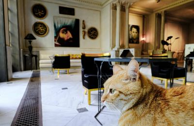 Historic Villa for sale İstanbul, Tom Tom, Nur-i Ziya Sokak, Image 6/33