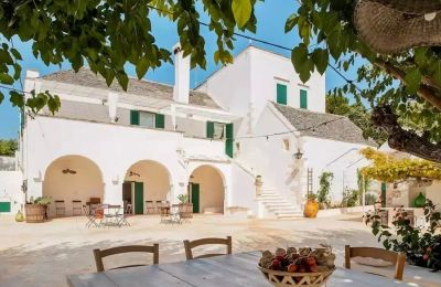 Farmhouse for sale Martina Franca, Apulia:  Exterior View