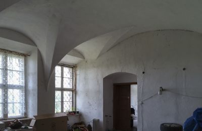 Castle for sale Pisarzowice, Opole Region, Image 9/17