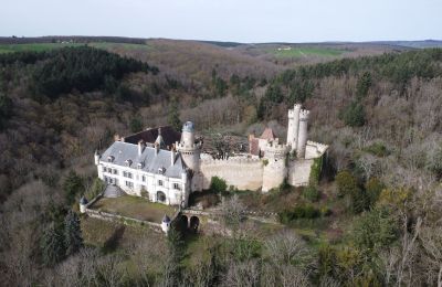 Castle for sale Veauce, Auvergne-Rhône-Alpes:  