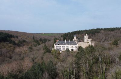 Castle for sale Veauce, Auvergne-Rhône-Alpes, Property location