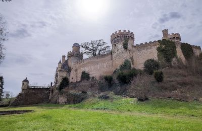 Castle for sale Veauce, Auvergne-Rhône-Alpes, Image 3/10