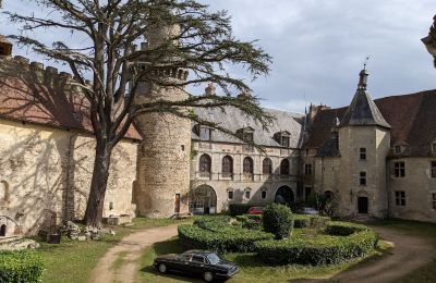Castle for sale Veauce, Auvergne-Rhône-Alpes, Image 4/10