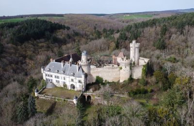 Castle for sale Veauce, Auvergne-Rhône-Alpes, Drone view