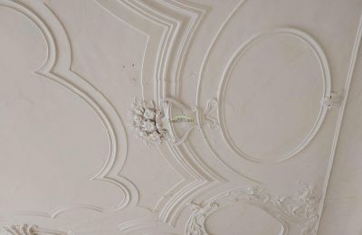 Castle for sale 04600 Altenburg, Thuringia,, Stucco decorations