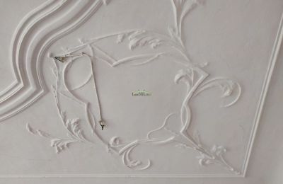 Castle for sale 04600 Altenburg, Thuringia,, Stucco decorations