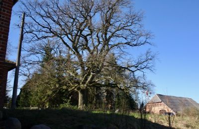 Manor house for sale 17166 Niendorf, Mecklenburg-West Pomerania, Image 9/14