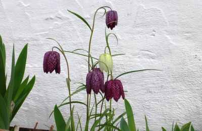 Castle for sale 91792 Ellingen, An der Vogtei 2, Bavaria, Image 38/61