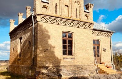 Historic Villa for sale Chmielniki, Kuyavian-Pomeranian Voivodeship:  widok z tyłu