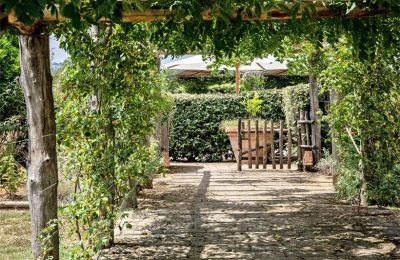 Country House for sale Manciano, Tuscany:  RIF 3084 Pergola