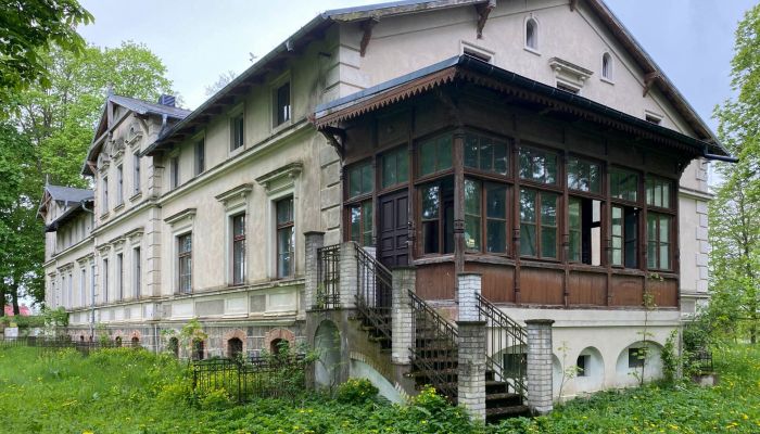 Castle for sale Stradzewo, West Pomeranian Voivodeship,  Poland