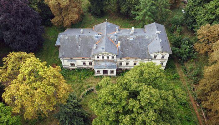 Manor House for sale Stradzewo, West Pomerania,  Poland