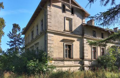 Castle for sale Stradzewo, Pałac w Stradzewie, West Pomerania, Side view