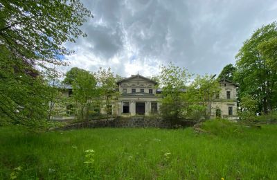 Castle for sale Stradzewo, Pałac w Stradzewie, West Pomerania, Image 7/14